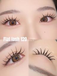 【平日限定】 フラットラッシュ 120本🦩LED変更◎コーティング付き