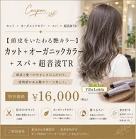 【頭皮をいたわる艶カラー】カット＋オーガニックカラー＋スパ＋超音波TR