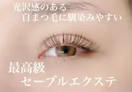 セーブルラッシュ🧸エクステ100本🧸