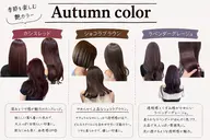 カットカラーさせて頂ける、展示モデル募集20代女性