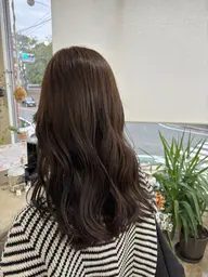セミロング限定🌿全体カラーモデル募集✨