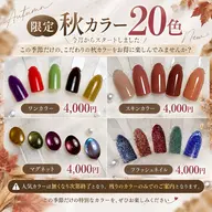 🌿‬フィルイン無料🌿‬マグネット秋カラー5種