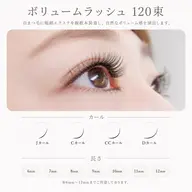 【オフなし限定】ボリュームラッシュ120束✨                           ⚠️付け足し不可