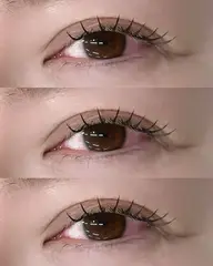 フラットラッシュ🎀✨100本 【オフあり】
