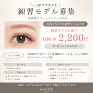 【格安】LEDエクステ100本✨️8/25のみ募集中🌼新人アイリスト練習モデル