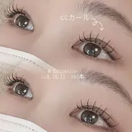 フラットラッシュ 80本