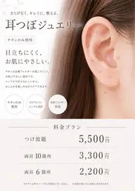 耳つぼジュエリー