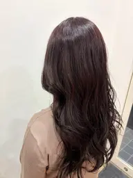 レディースレイヤーカットモデル募集中
