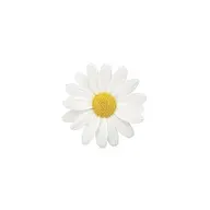 〈 オフ込み 〉ワンカラーSET