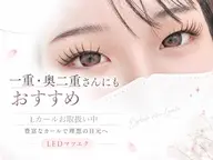 🎀【Lカール限定】根元からきゅんっとぱっちり🪽フラットラッシュ130本¥5,500