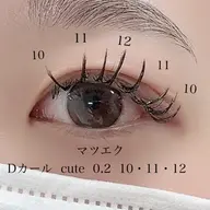 🐬期間限定🐬シングルラッシュ100～120本オフ無し　亀有/金町/綾瀬