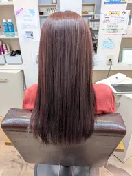 レディースセミロングカット+カラー