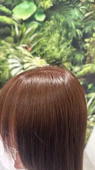 ✨白髪染めリタッチカラー(根元4センチ以内🧸)✨