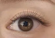 🌸100本超軽量フラットラッシュ(上)国産グル—LED込み