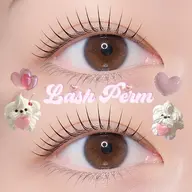 \期間限定撮影モデル価格/束感まつげパーマ💖