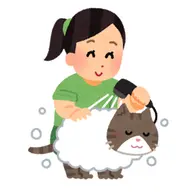 シャンプー＆ブロー