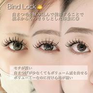 バインドロック140束