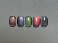 【経験者ネイリスト施術✨】長さだし10本+マグネット等ワンカラー◎