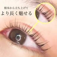 根本から立ち上げ*ラッシュリフト