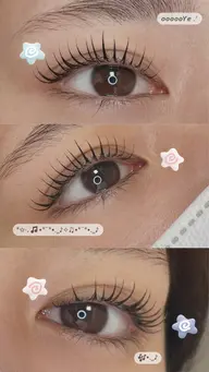 まつ毛パーマ(上のみ)