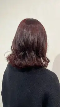 ワンカラー(ブリーチなし)