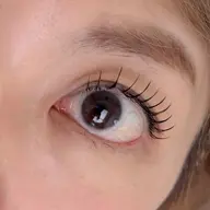 フラットラッシュ100本