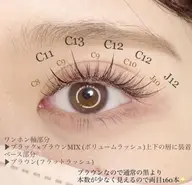 ワンホンマツエクCカール100束