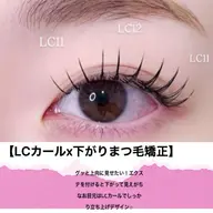 高持続力◎LEDx LCカールラッシュつけ放題¥ 8980/ご新規様オフ無料/LEDオフ初回から800円