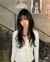 レイヤーカットモデル🎀