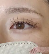 フラットラッシュ120本