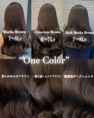 ✨️当日限定メニュー✨メンテナンスカット+ワンカラーモデル✨