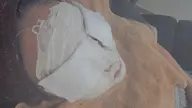 モデリングパック お試し