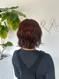 【レディースパーマ】カット＋ボブパーマ✨️ シャンプートリートメント付き🧴🫧