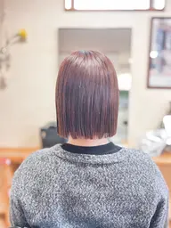 かぁちゃん橋本のカット特訓メニュー!モデル募集!中学生以上性別問わずだれでもok