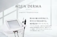 【贅沢エイジングケア💎】アクアダーマ×ヒト幹細胞培美容液を針を使わずお肌へ導入|乾燥・ハリツヤ🫧