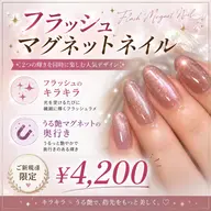 フラッシュマグネットネイル
