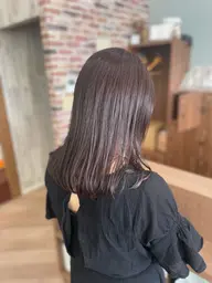 ꒰ special coupon ꒱ カット+カラー+バイカルテトリートメント 🏳️⚧️✨