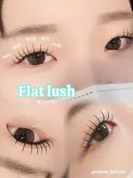 ダブルフラットラッシュ80束