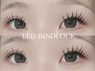 バインドロック80束🎀