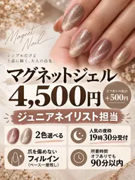 ★★要注意:書いてある日時限定★★マグネットネイル限定!