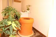黄土よもぎ蒸し35分