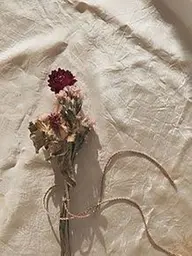 アイブロウワックス🥀（パーマなし）