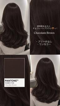 透明感ワンカラーのみ