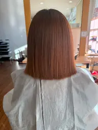 ボブカット