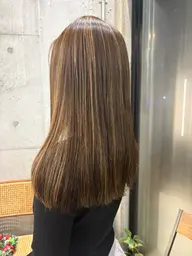 ハイライト🌱