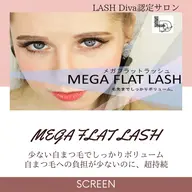 超持続‼️なのに自まつ毛の負担は軽減◎‼️メガフラット・60束《両目約180本相当の濃さ》