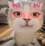 ダブルフラットラッシュ 100束