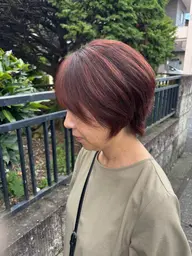 インナーカラーorハイライト+フルカラー+トリートメント