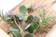 【植物成分配合で頭皮と髪に優しく】オーガニックヘアカラー