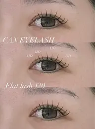 💫当日限定💫 フラットラッシュ120本